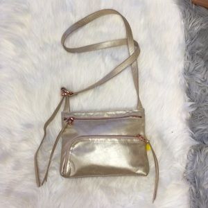 Hobo Purse